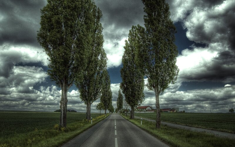 Road with Trees — Green, Dramatic, Afternoon