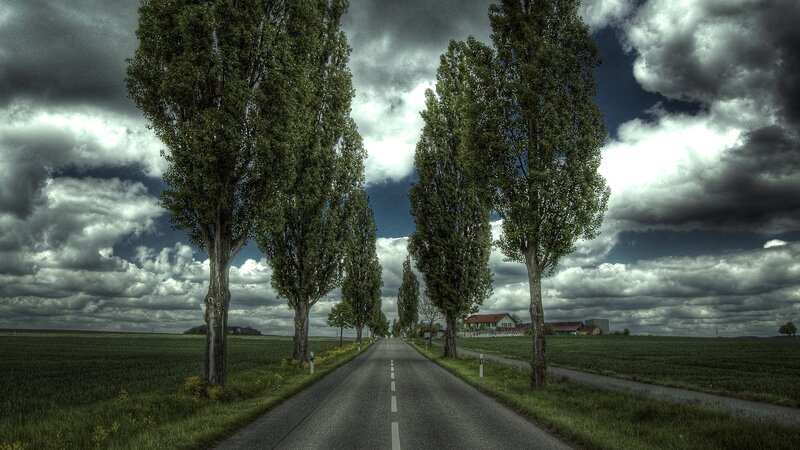Road with Trees — Green, Dramatic