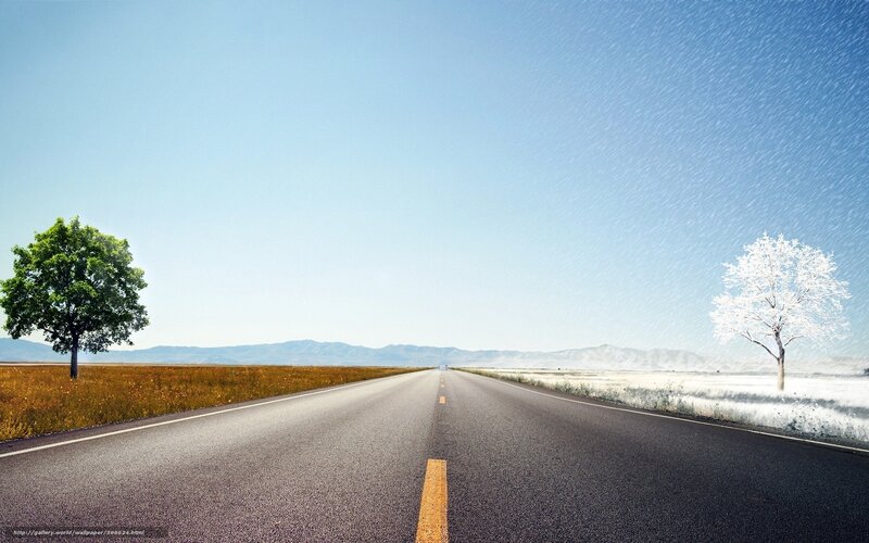 Road with Two Trees — Blue, Serene