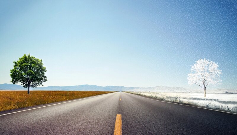 Road with Two Trees — Blue