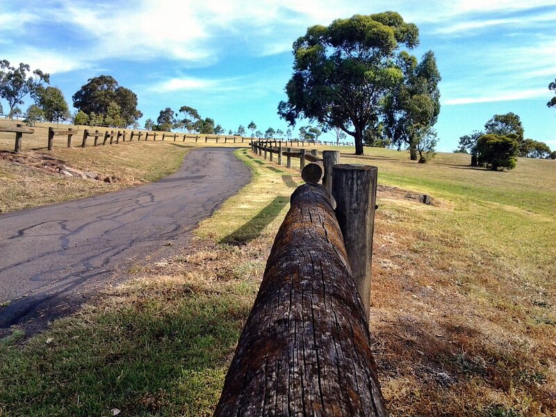Road with wooden fence in park