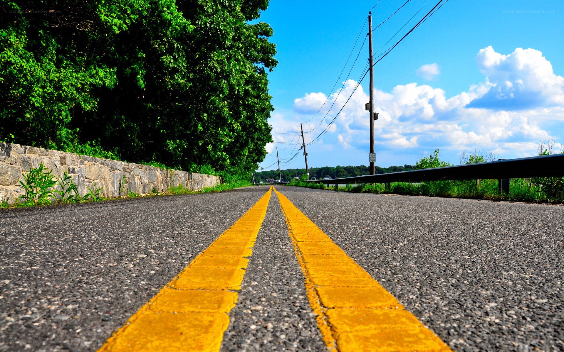 Road with yellow lines and trees