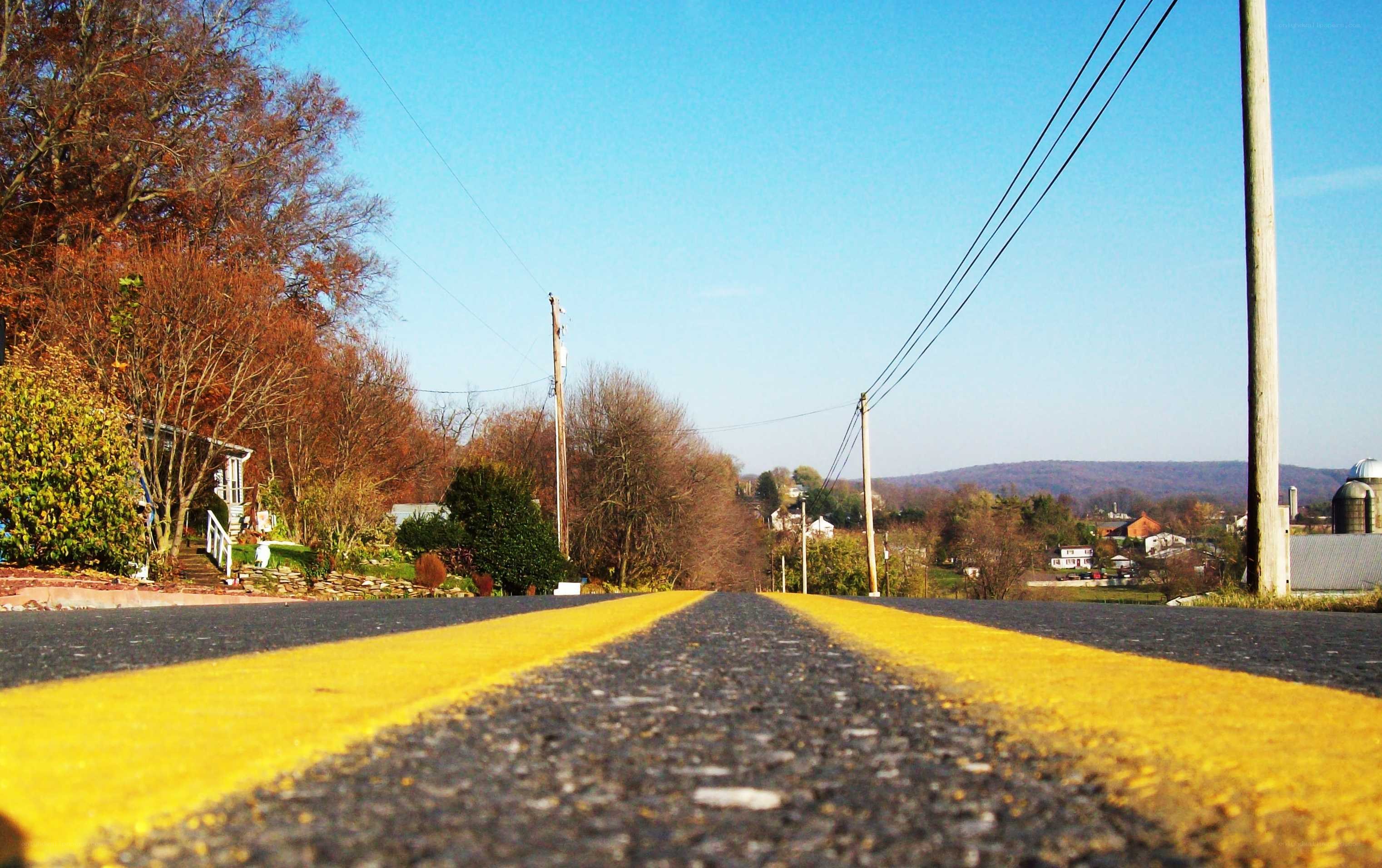 Road with yellow lines in autumn