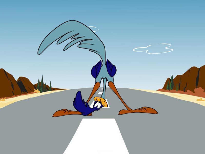 Roadrunner on Road