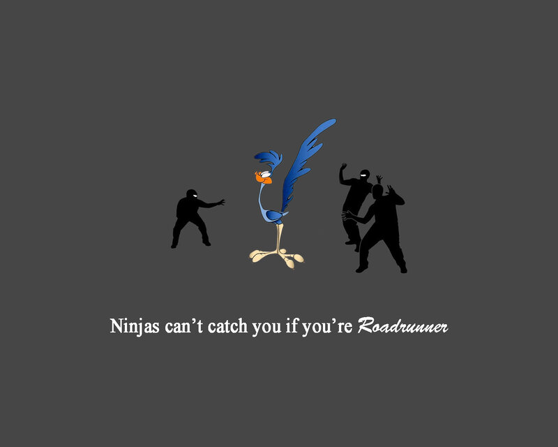 Roadrunner vs ninjas