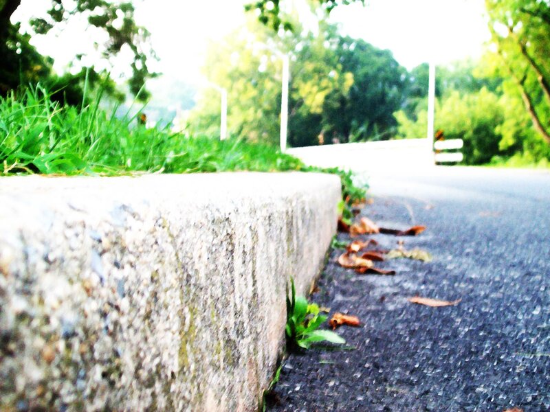 roadside curb and leaves