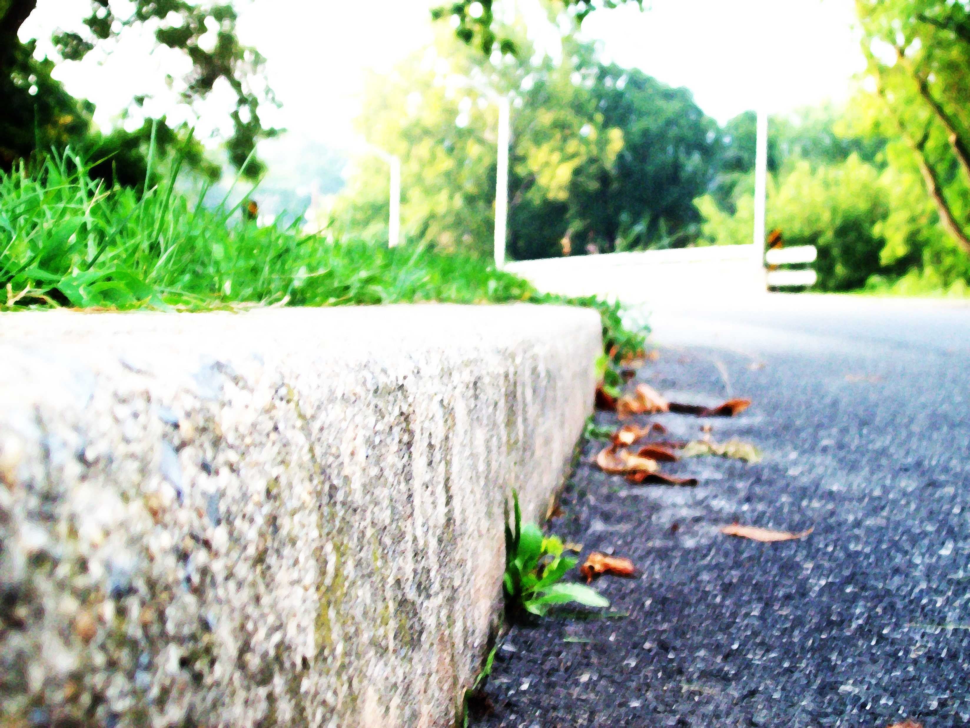 roadside curb and leaves