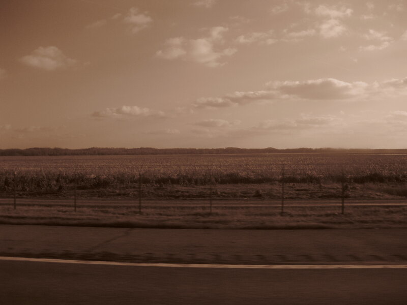 roadside field view