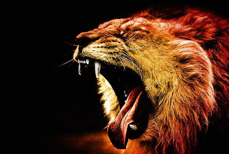 Roaring Lion Head — Brown