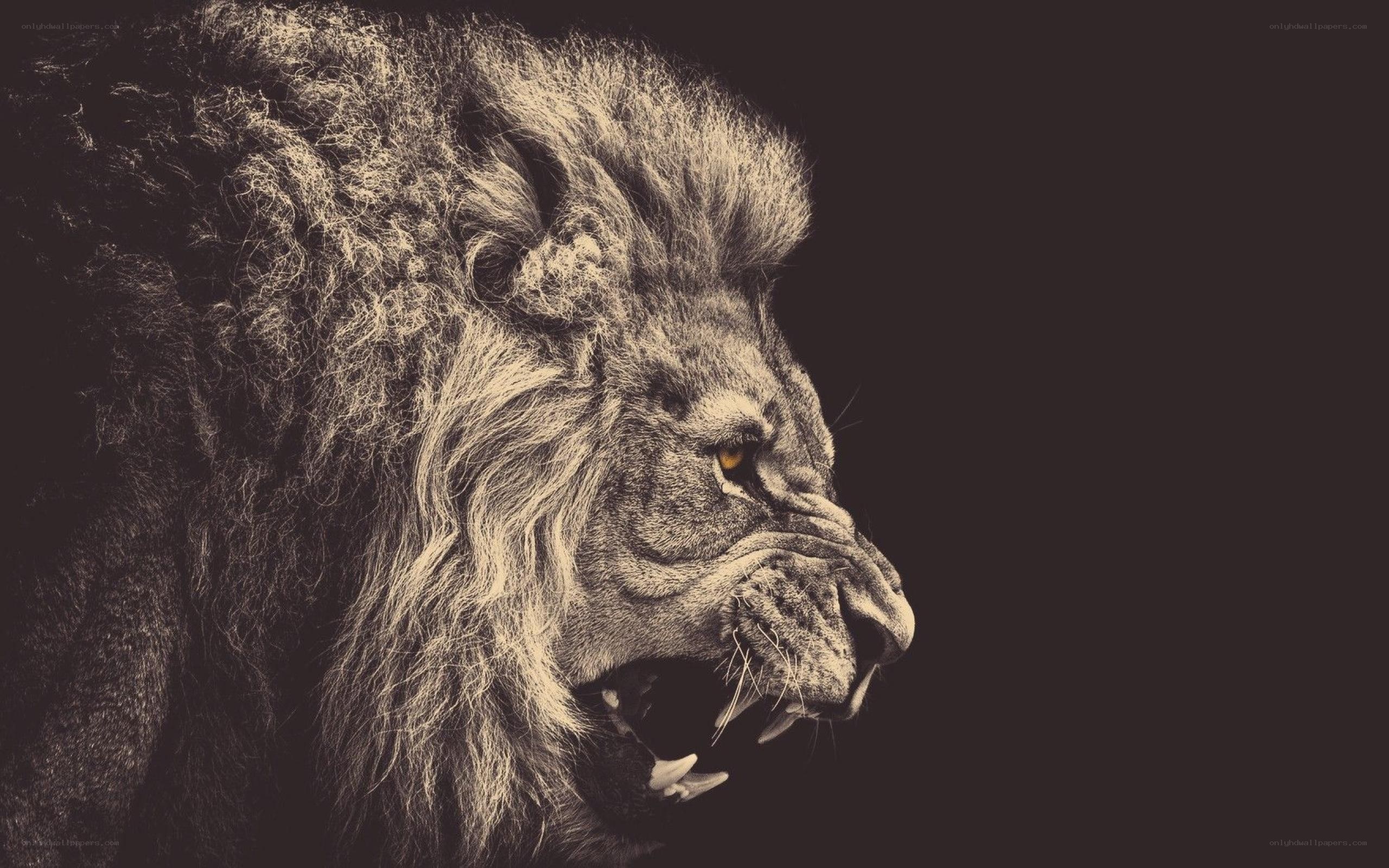 roaring lion in profile