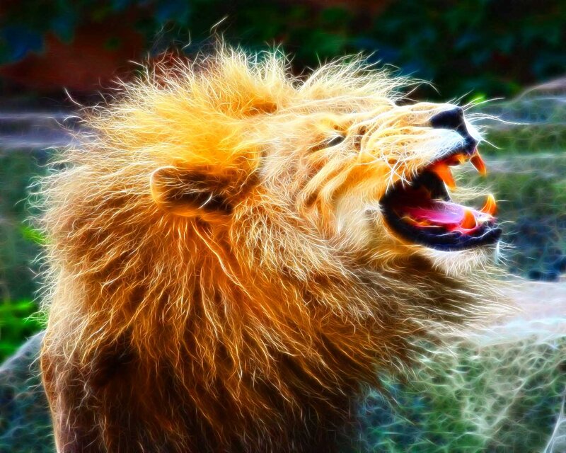 Roaring Lion with Mane