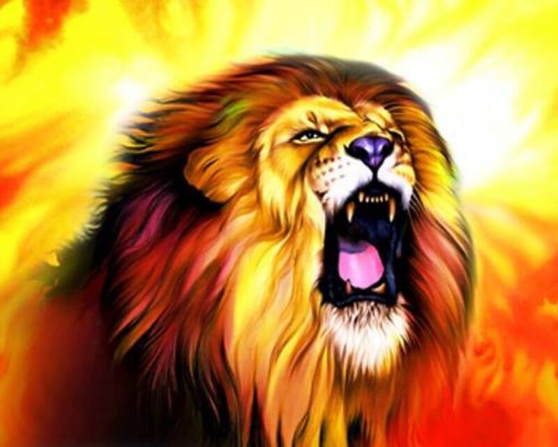 Roaring Lion — Yellow