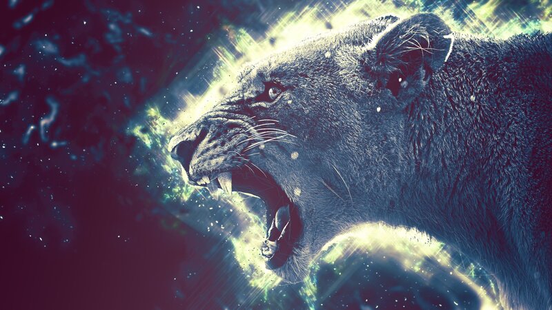 Roaring Lioness — Blue