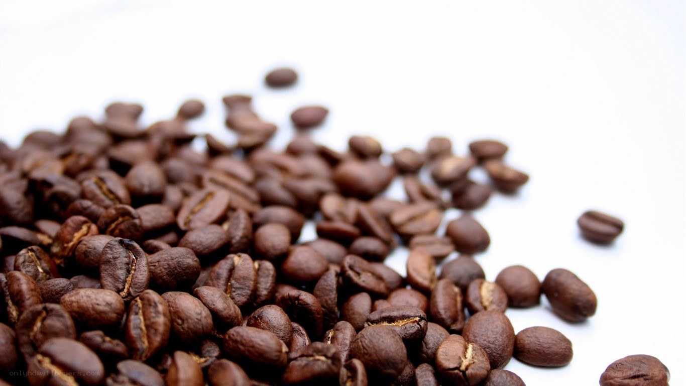 roasted coffee beans