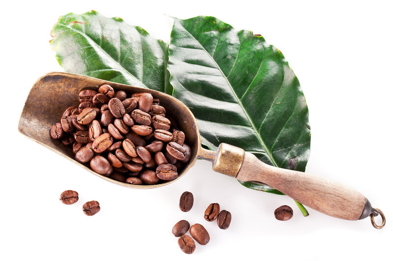 Roasted Coffee Beans — Brown, Clean