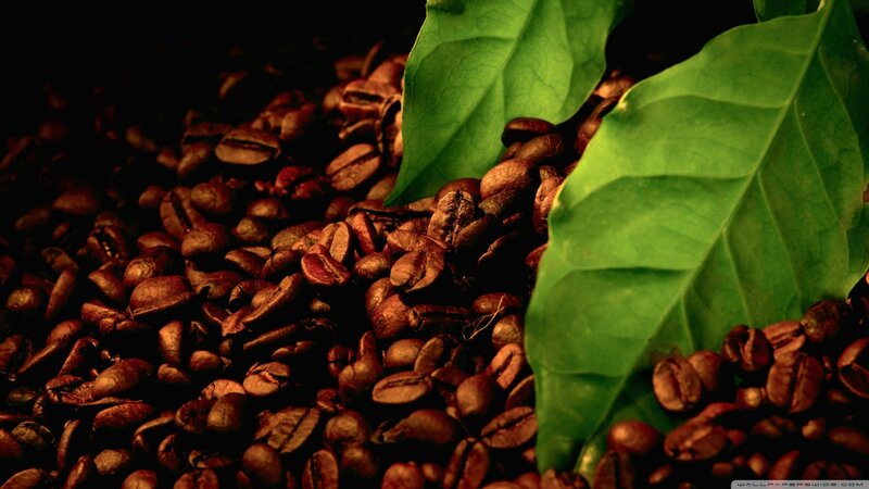 Roasted Coffee Beans — Brown, Dramatic, Photograph, Green Leaves, Coffee Beans