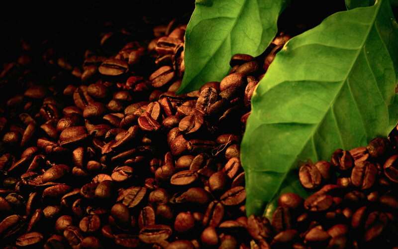 Roasted Coffee Beans — Brown, Dramatic, Photograph, Green Leaves