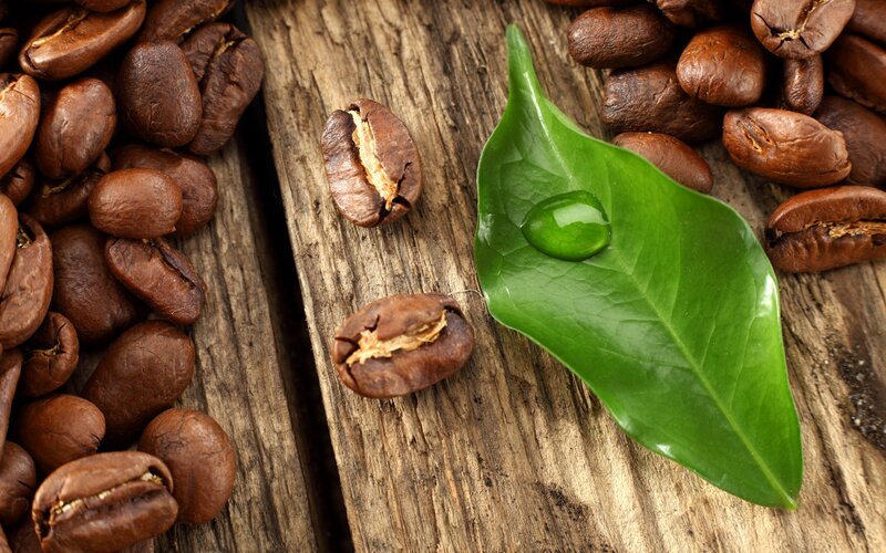 Roasted Coffee Beans — Brown, Natural, Photograph, Green Leaf