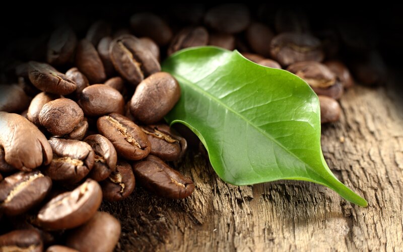 Roasted Coffee Beans — Brown, Natural, Photograph