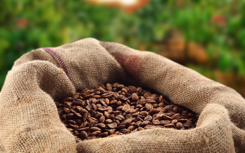 Roasted Coffee Beans — Brown, Natural