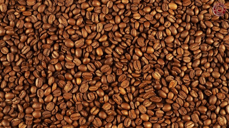 Roasted Coffee Beans — Brown, Neutral, Photograph, Logo