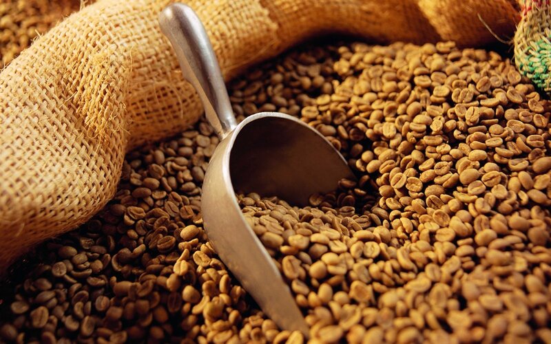 Roasted Coffee Beans — Brown, Warm, Photograph, Scoop
