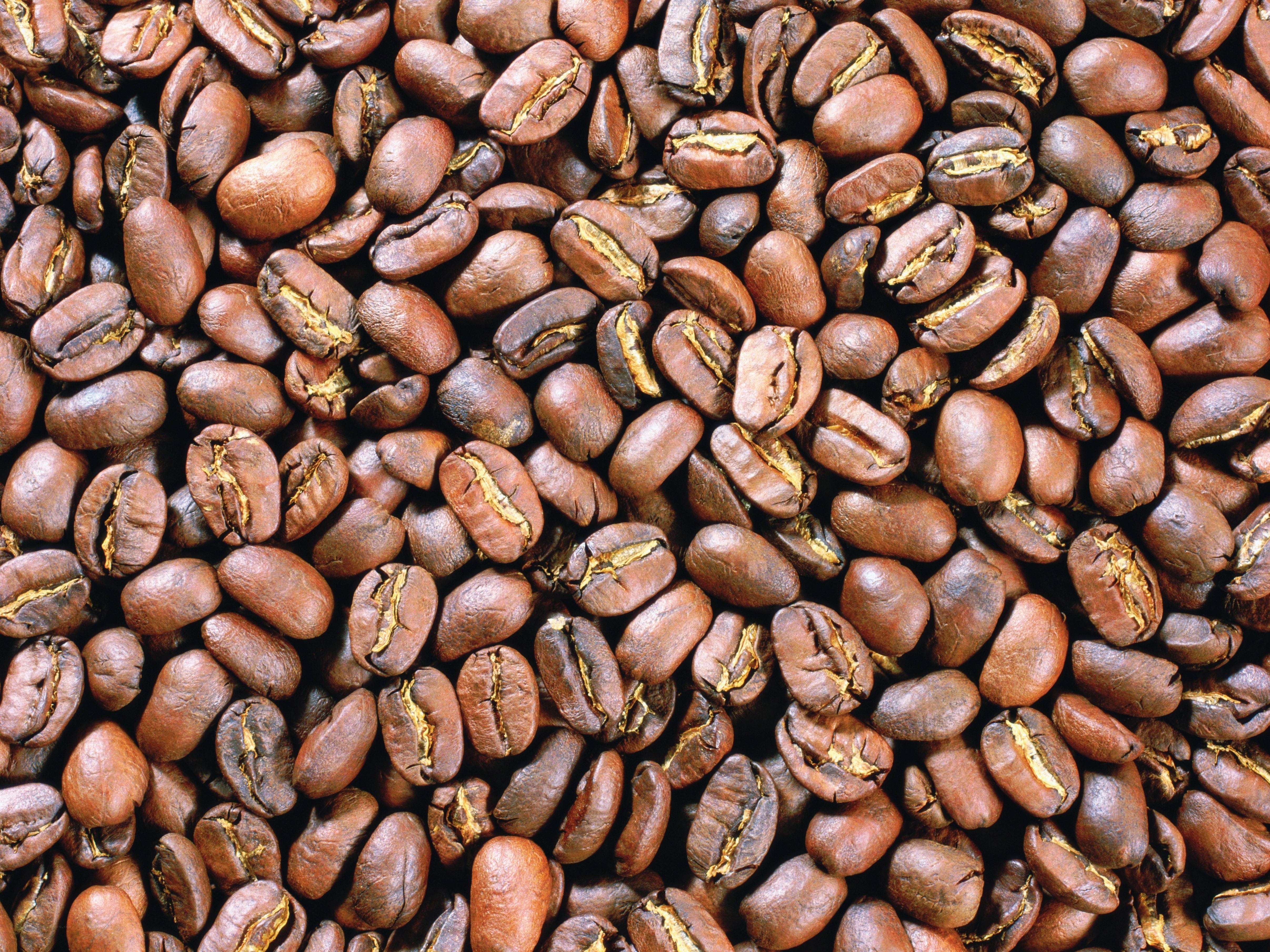 roasted coffee beans close-up