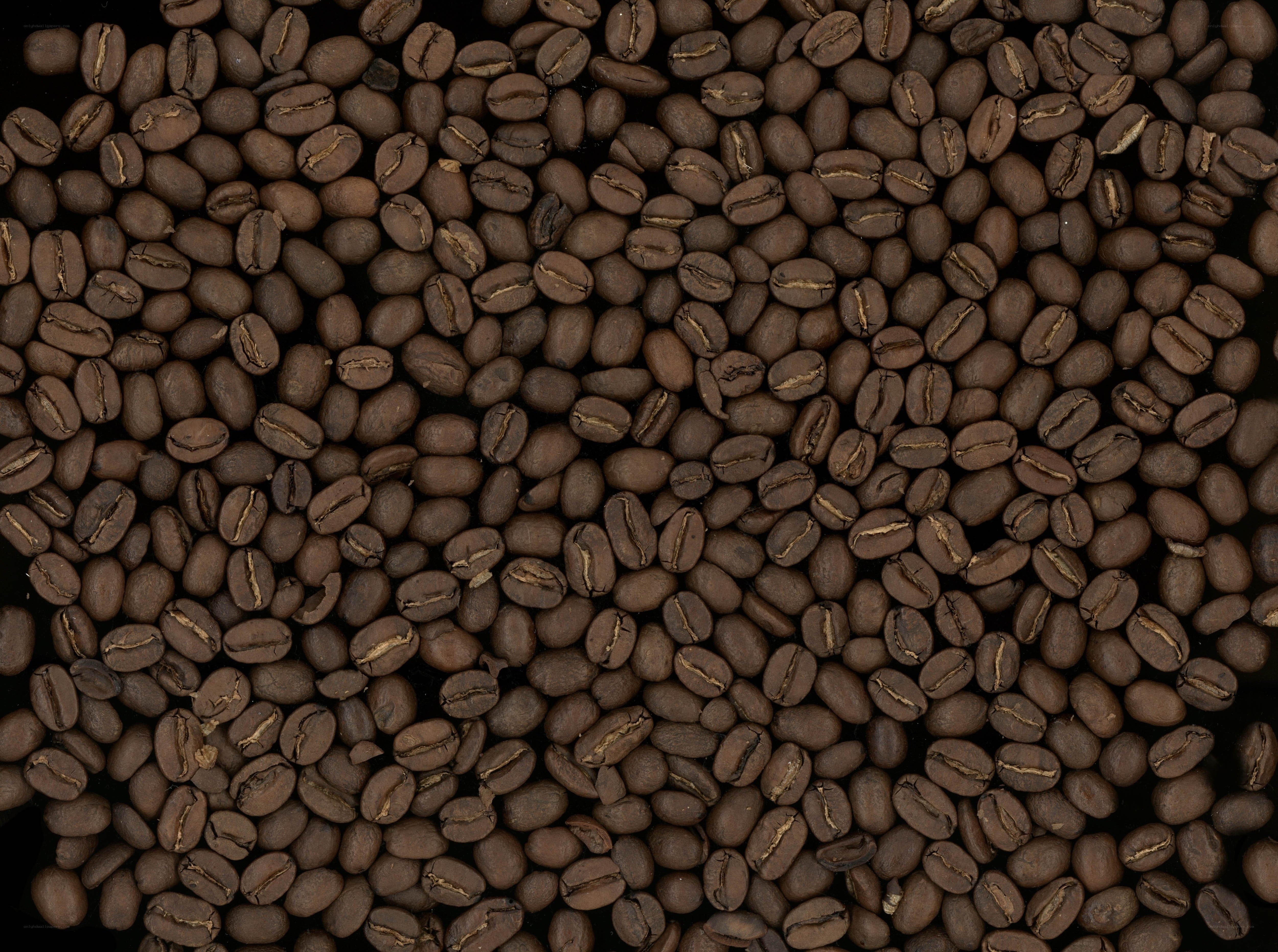 roasted coffee beans close-up