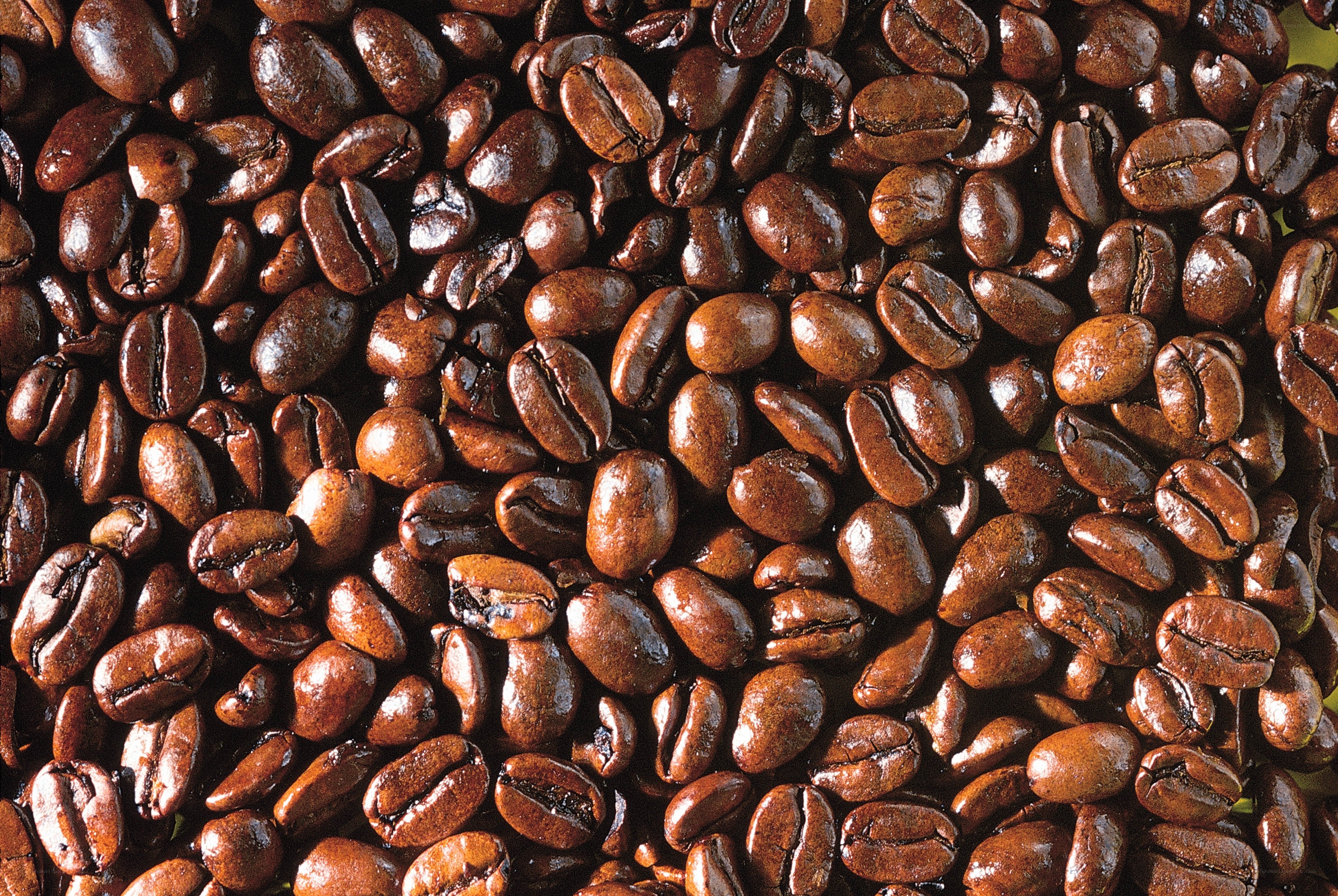 roasted coffee beans close-up