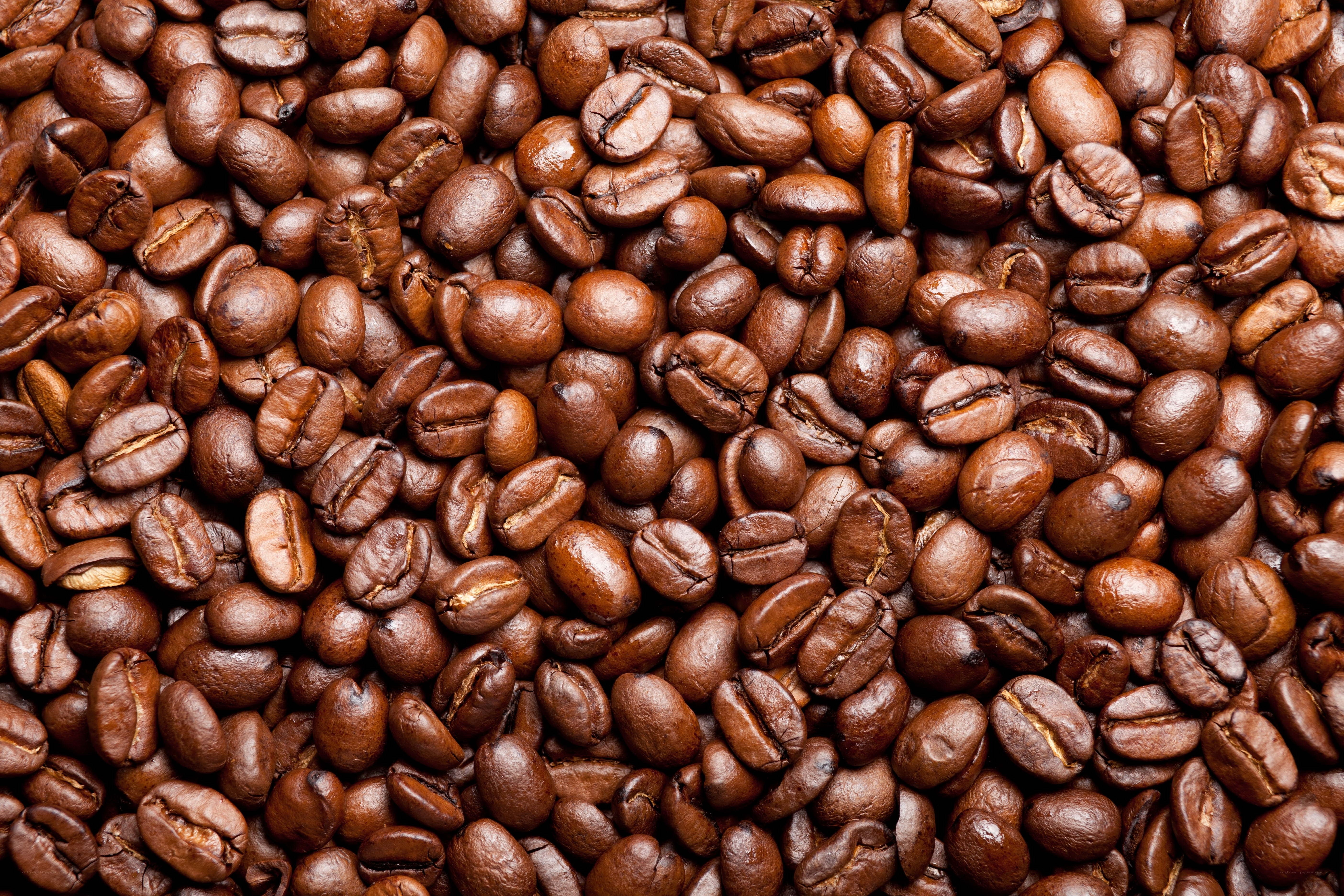 roasted coffee beans close-up