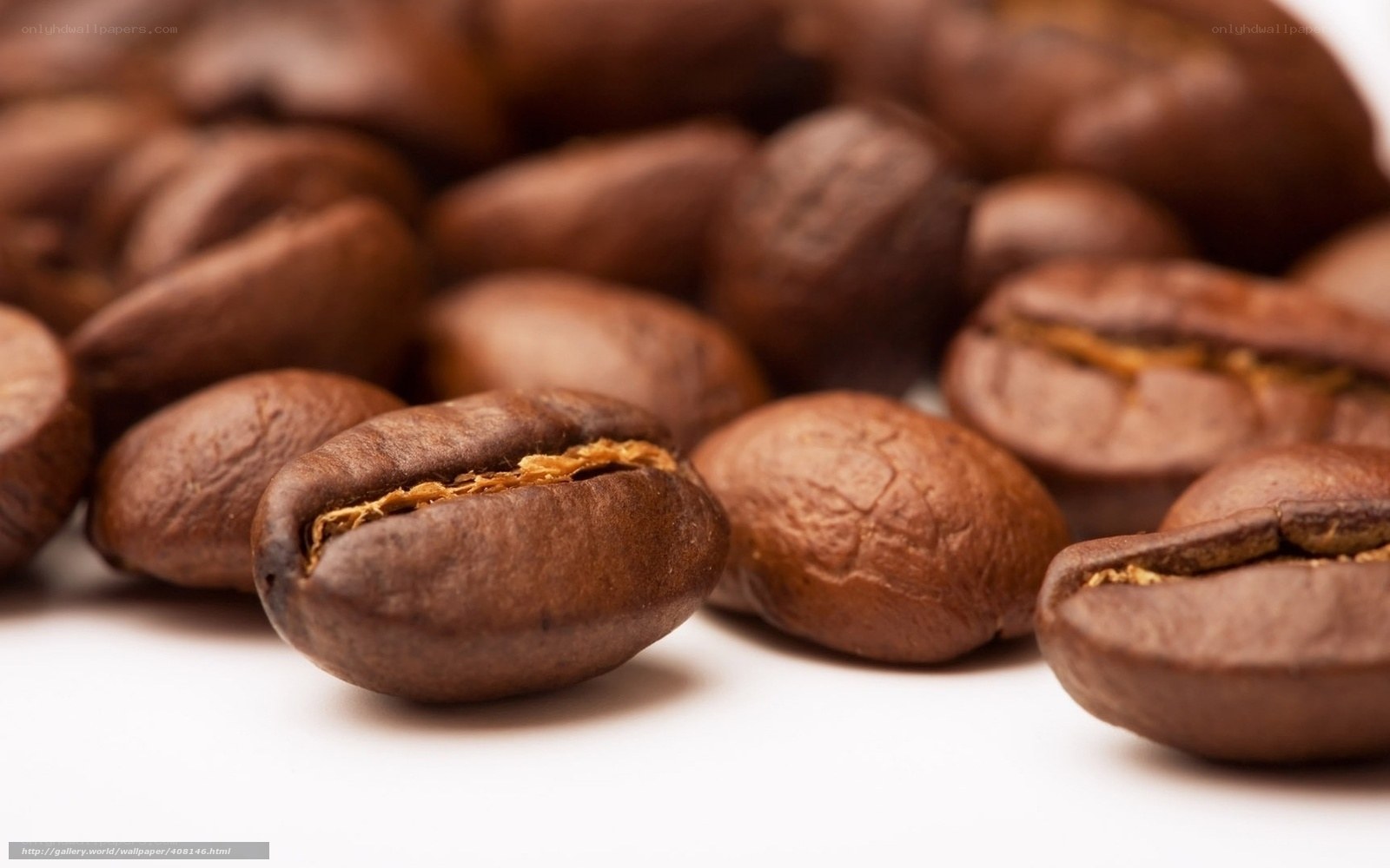 roasted coffee beans close-up