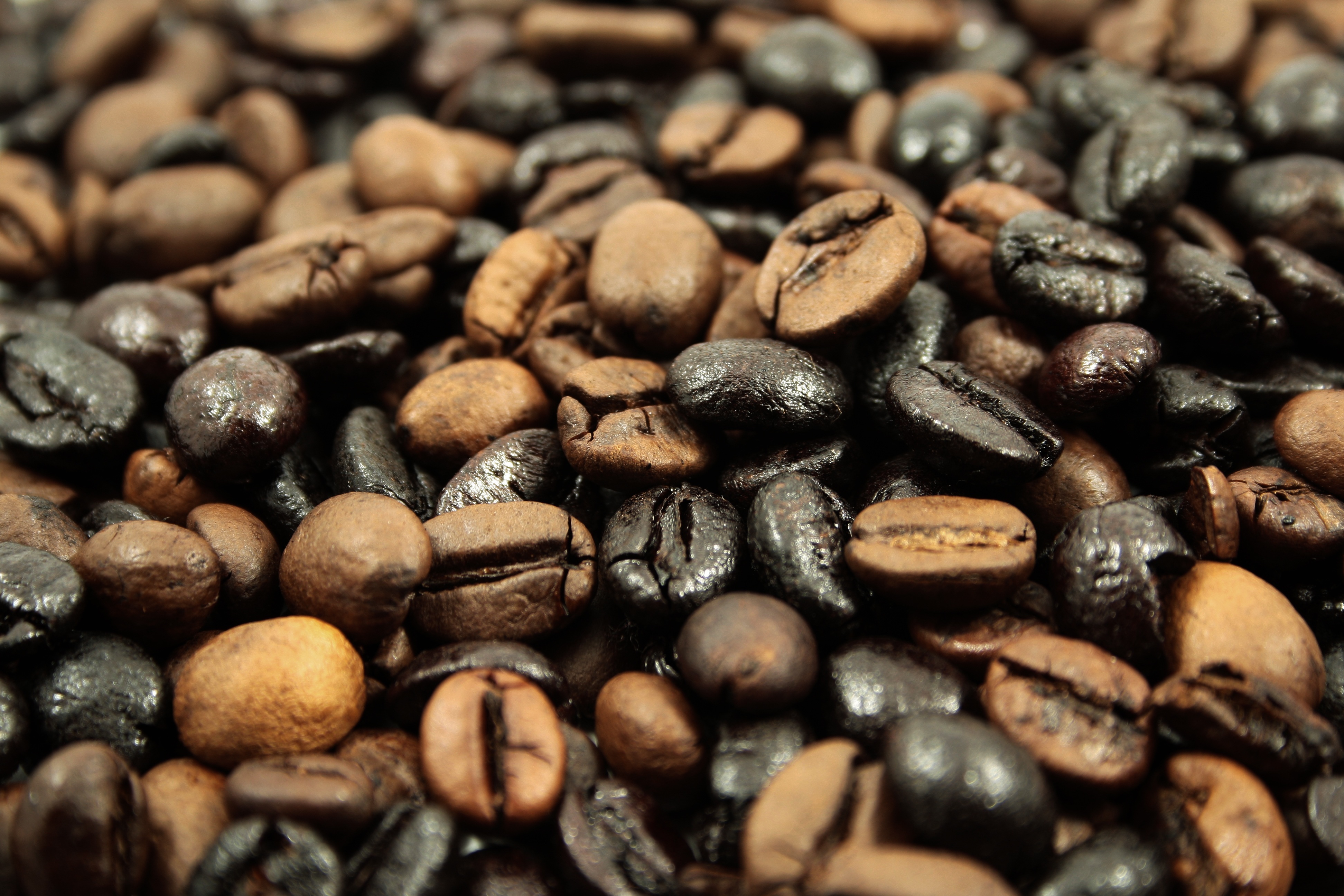 roasted coffee beans close-up