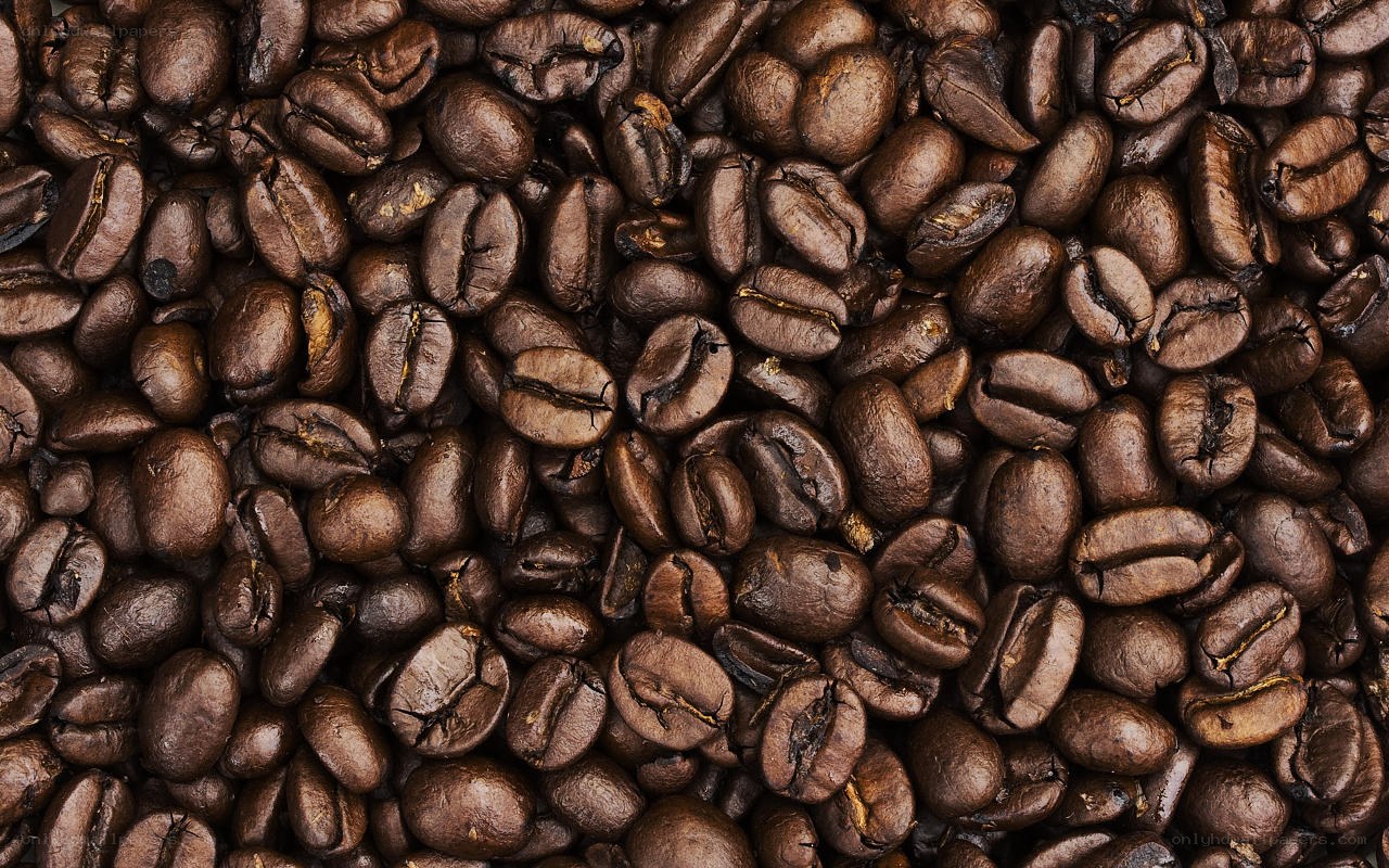 roasted coffee beans close-up