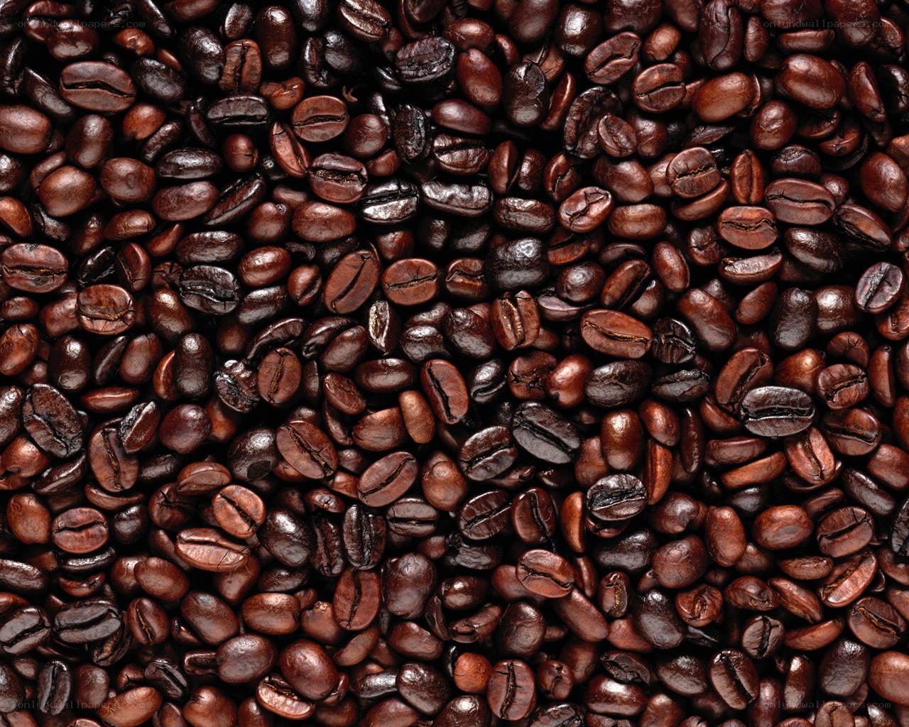 roasted coffee beans close-up