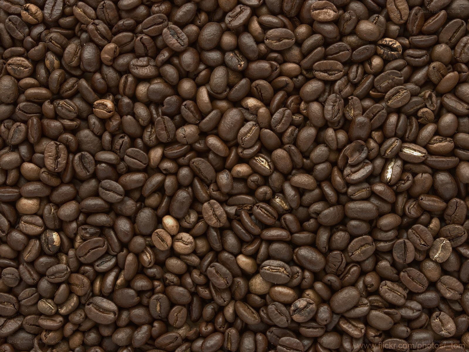 roasted coffee beans close-up