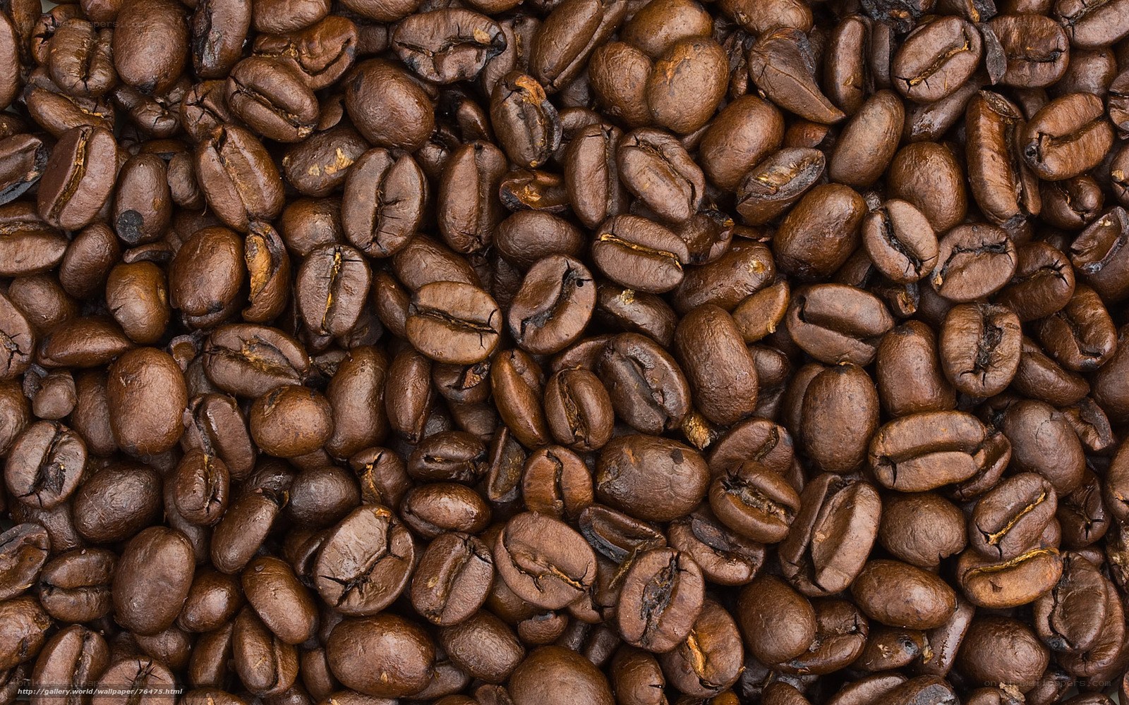roasted coffee beans close-up