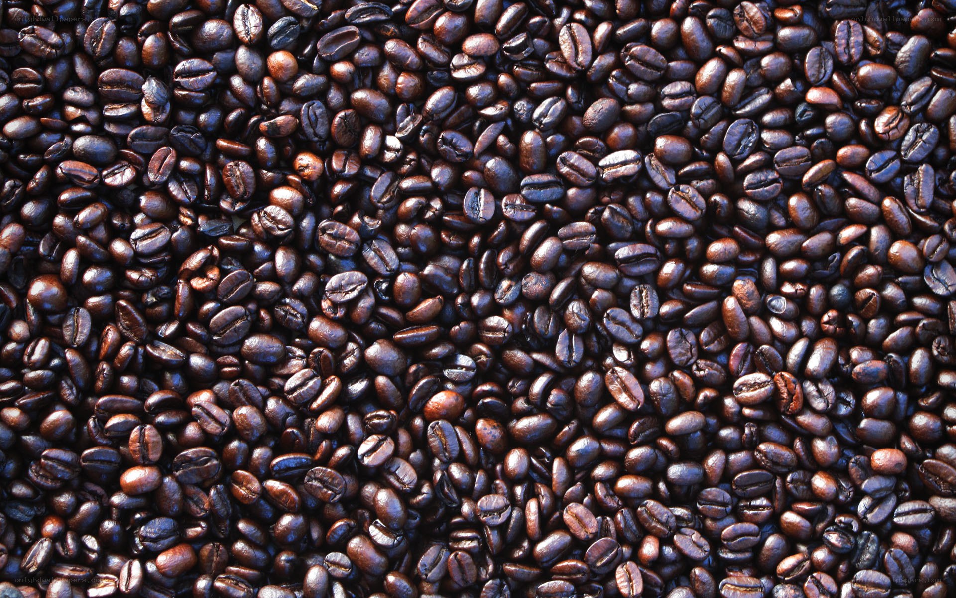 roasted coffee beans close-up