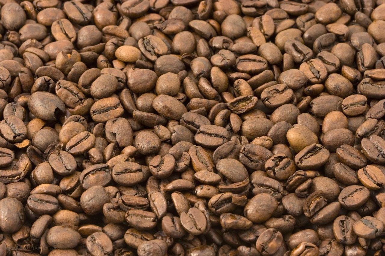 roasted coffee beans close-up
