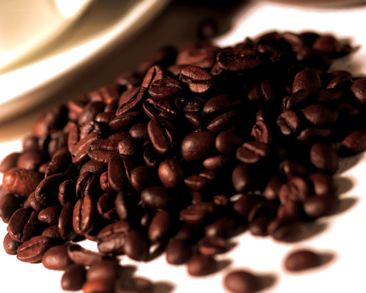 roasted coffee beans close-up
