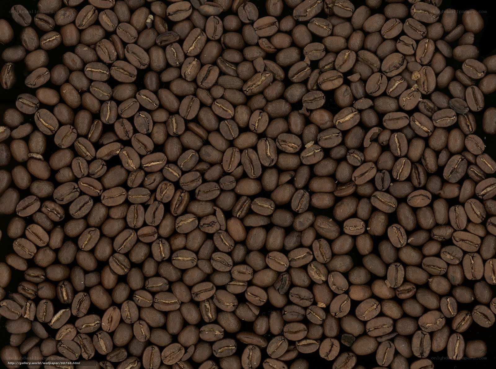 roasted coffee beans close-up