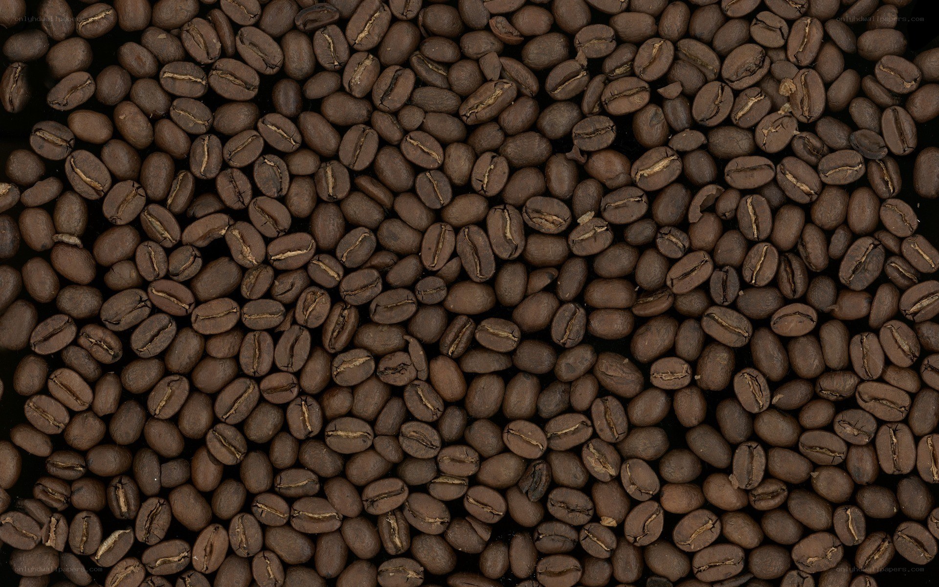 roasted coffee beans close-up