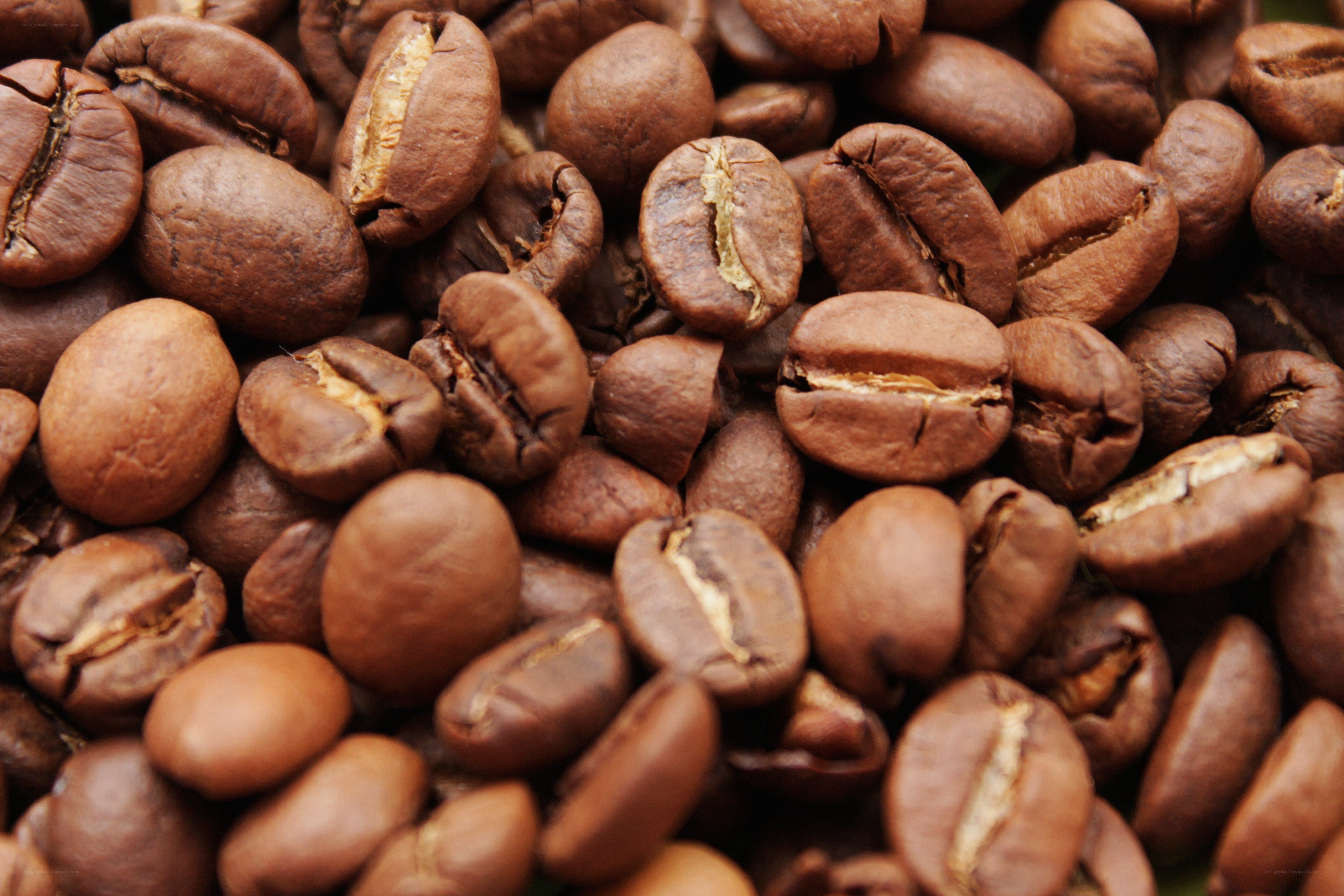 roasted coffee beans close-up