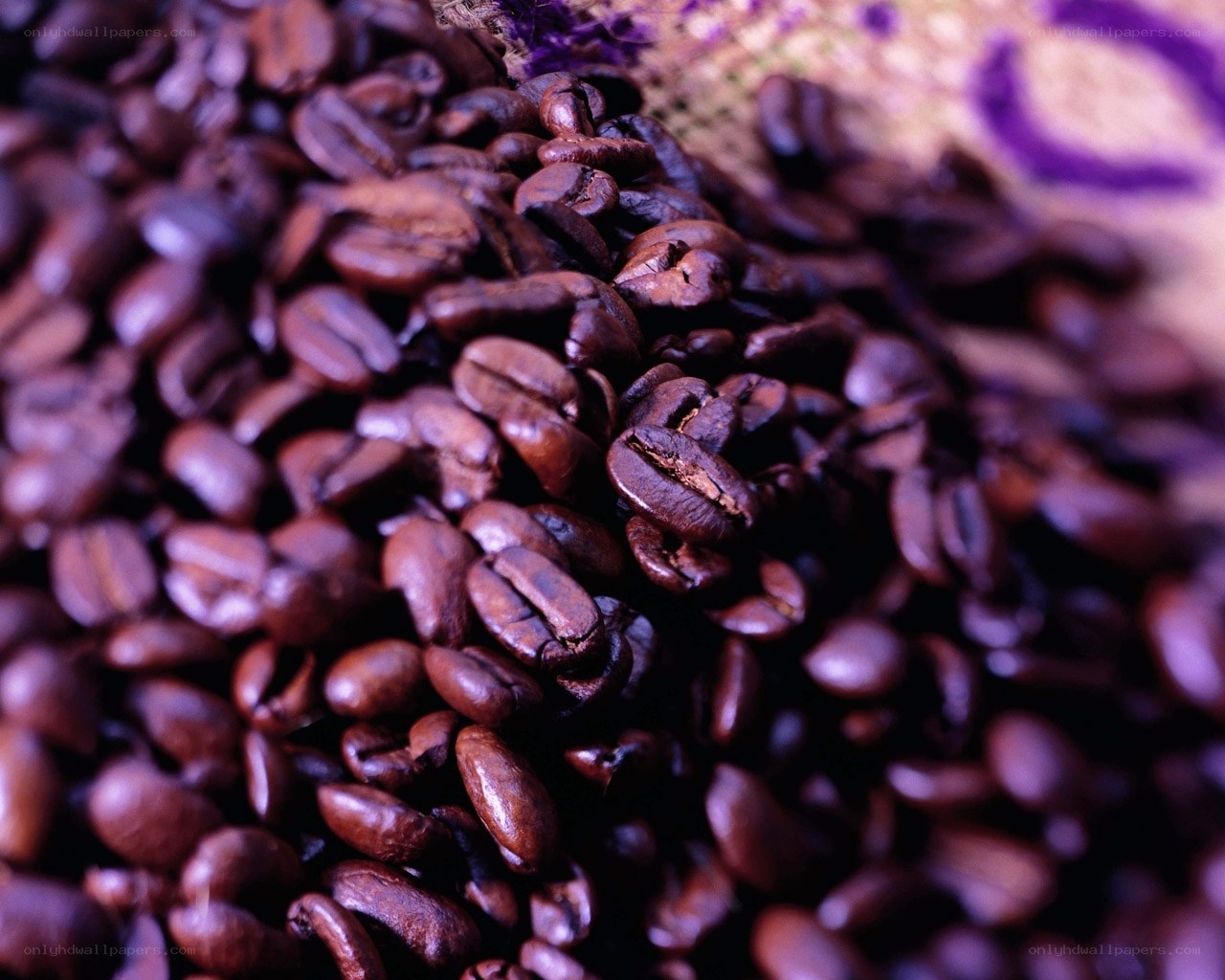 roasted coffee beans close-up