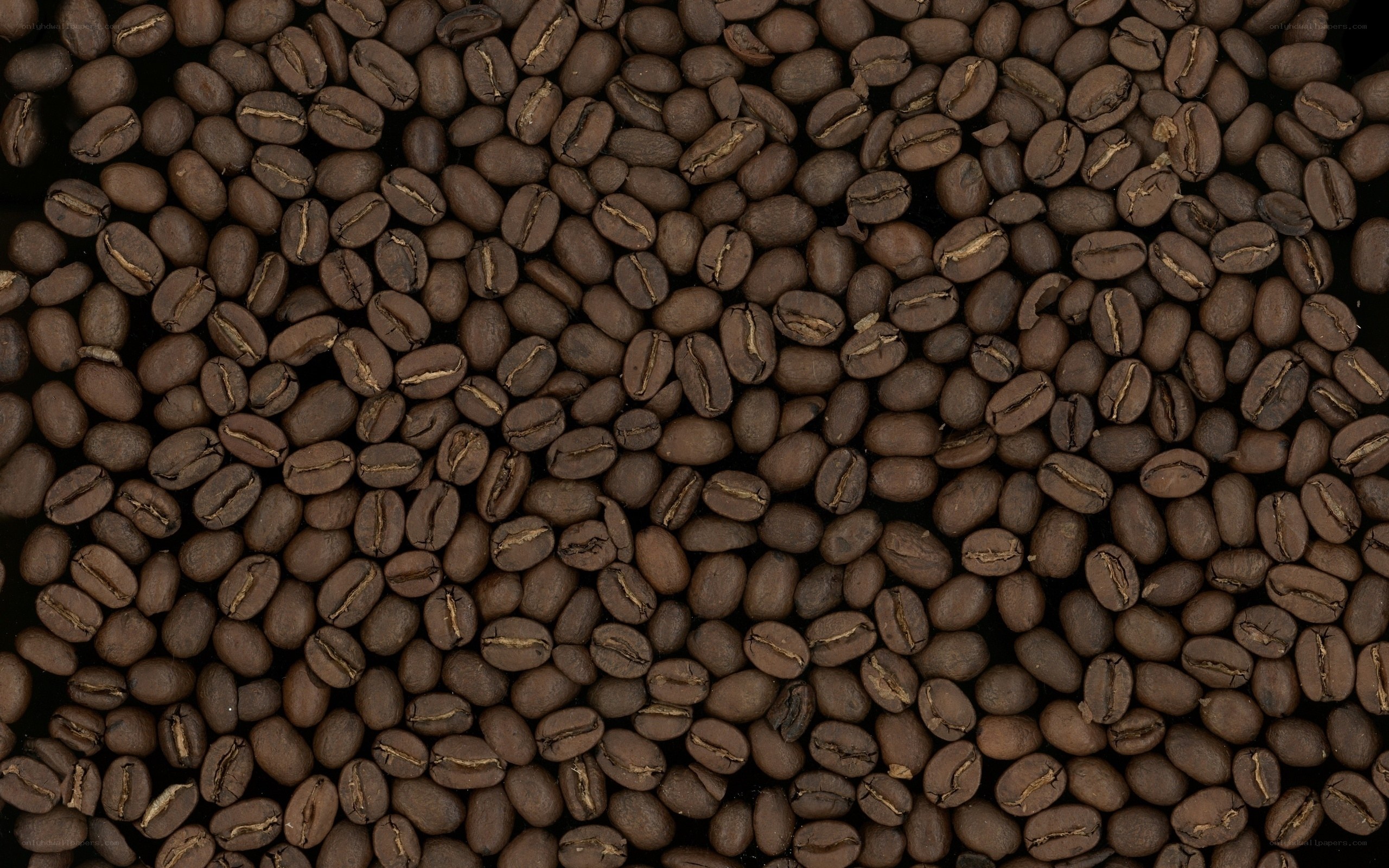 roasted coffee beans close-up