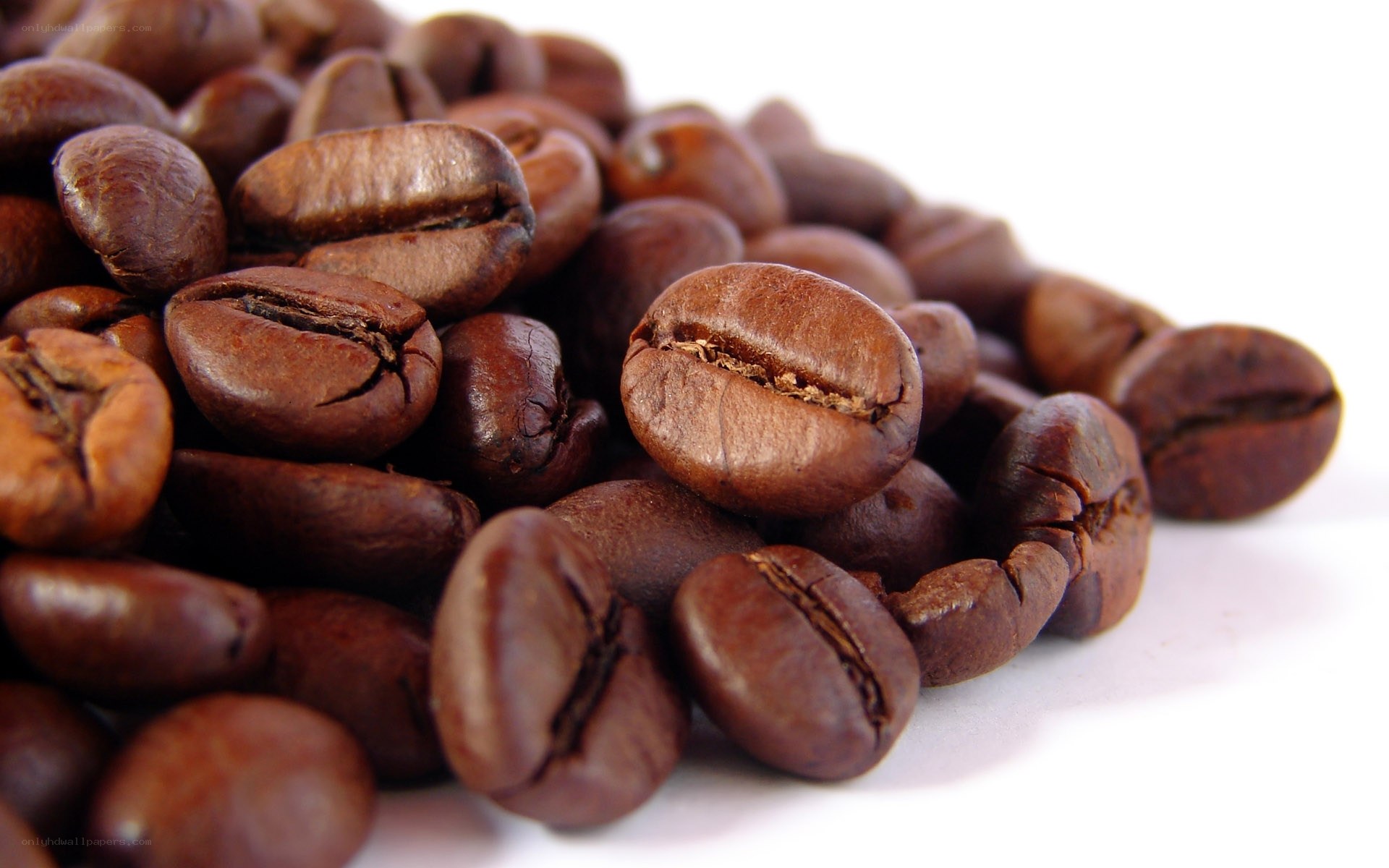 roasted coffee beans close-up