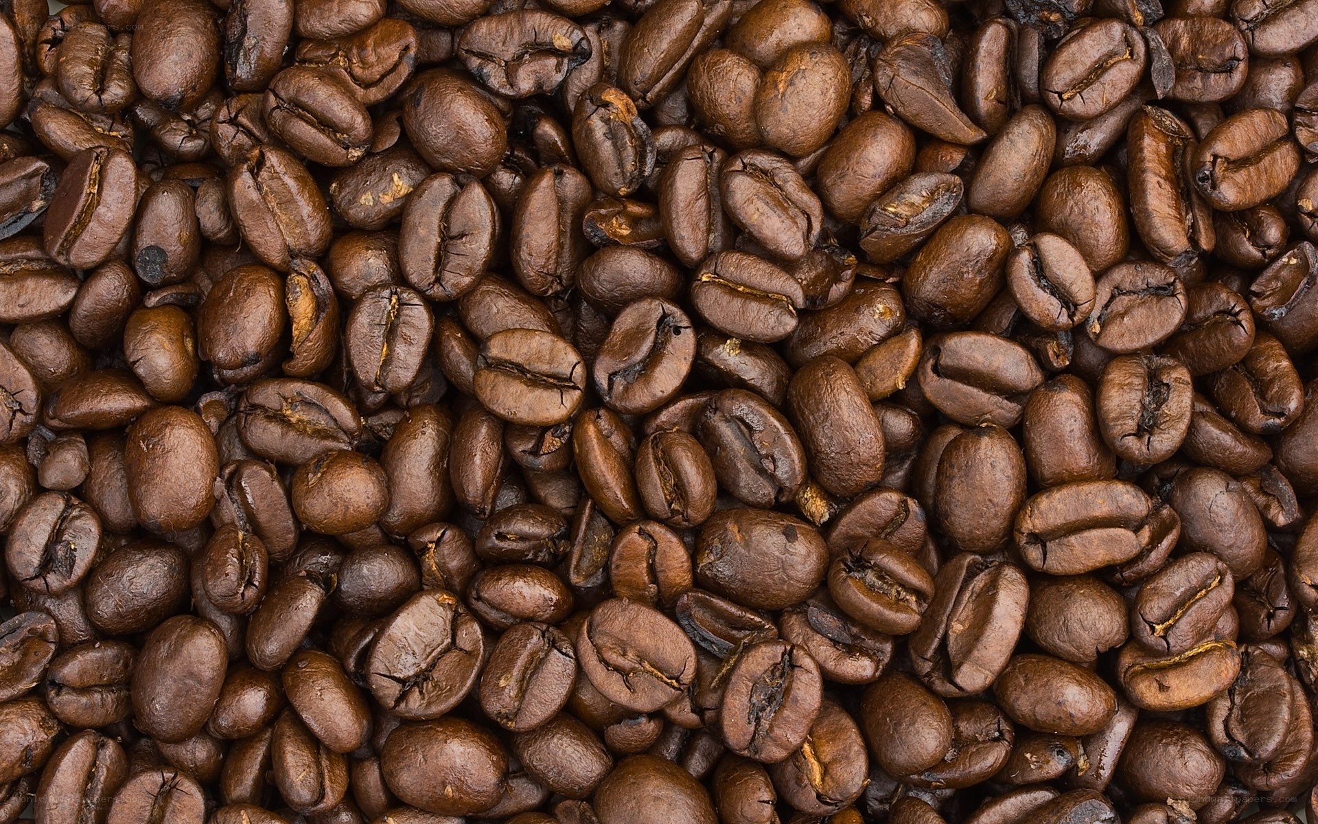 roasted coffee beans close-up
