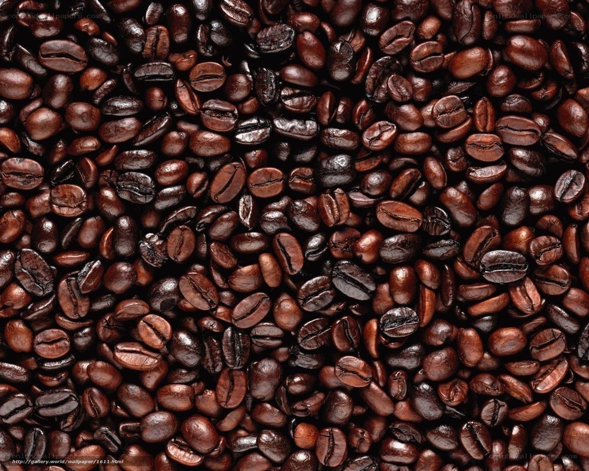 roasted coffee beans close-up