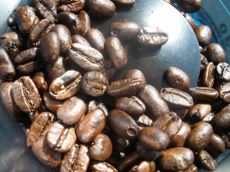 roasted coffee beans in a container