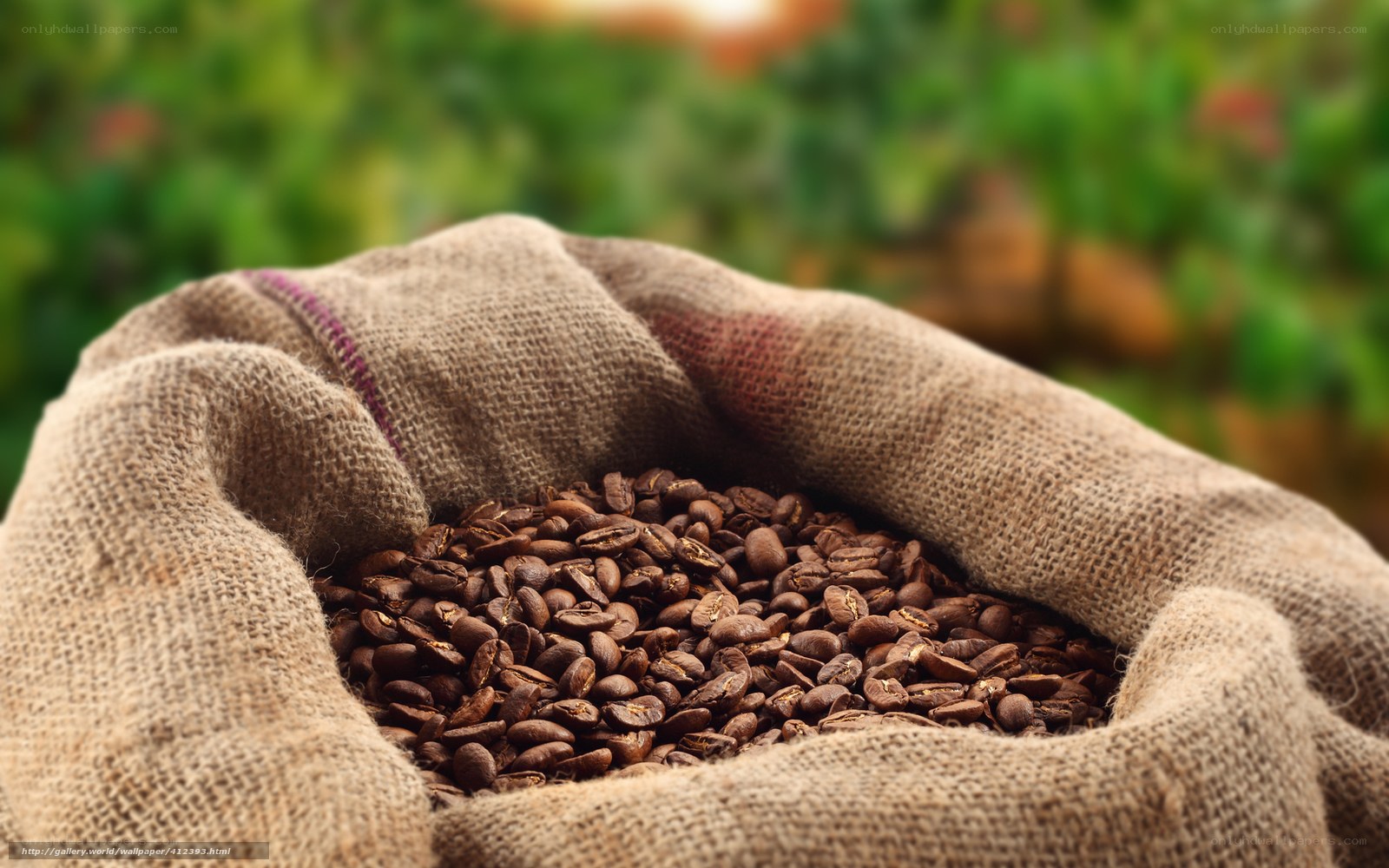 roasted coffee beans in burlap sack