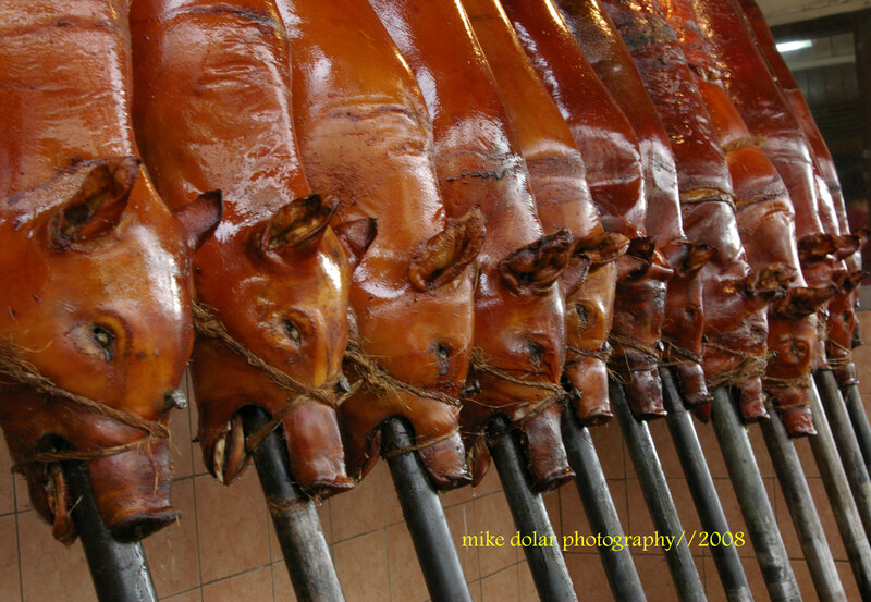 Roasted pigs on display